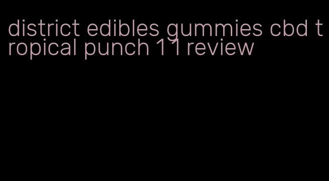 district edibles gummies cbd tropical punch 1 1 review