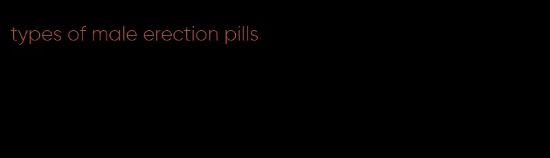 types of male erection pills