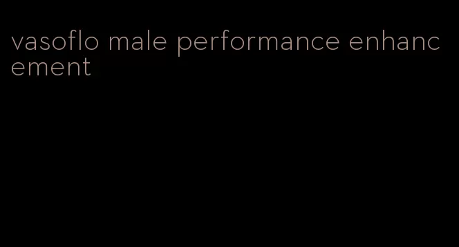 vasoflo male performance enhancement