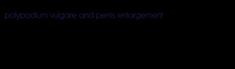 polypodium vulgare and penis enlargement