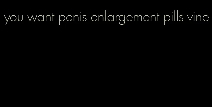 you want penis enlargement pills vine