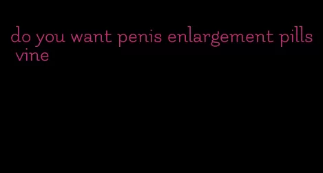 do you want penis enlargement pills vine