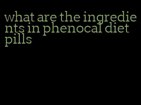 what are the ingredients in phenocal diet pills