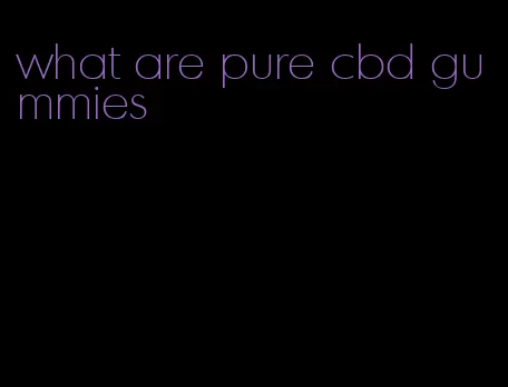 what are pure cbd gummies