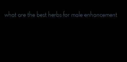 what are the best herbs for male enhancement