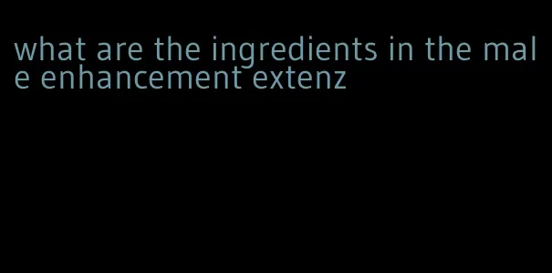 what are the ingredients in the male enhancement extenz