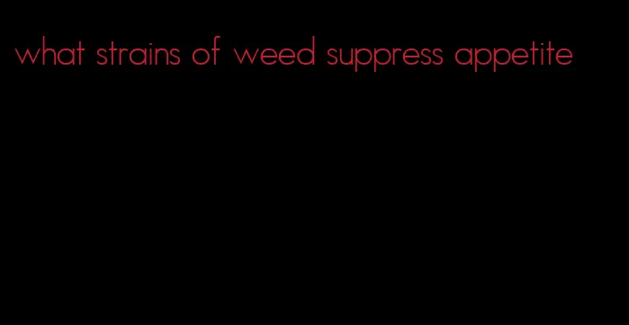 what strains of weed suppress appetite