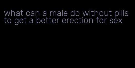 what can a male do without pills to get a better erection for sex