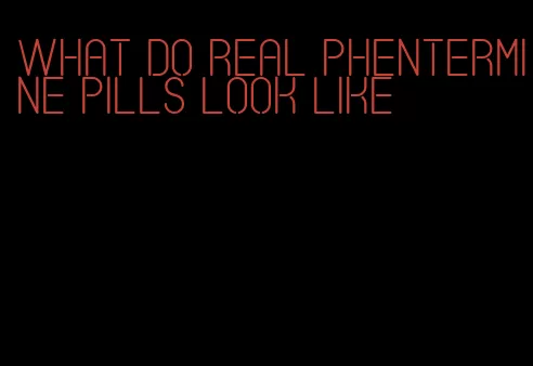 what do real phentermine pills look like