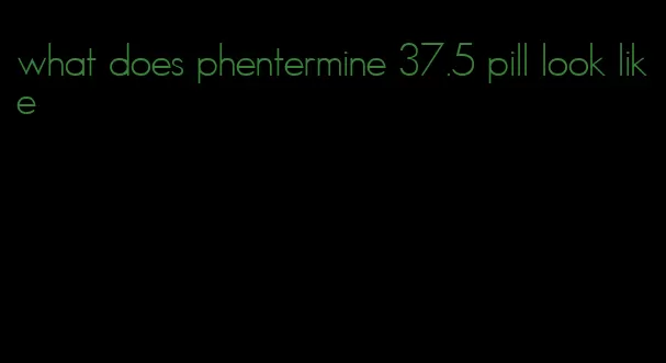 what does phentermine 37.5 pill look like