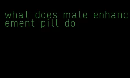 what does male enhancement pill do