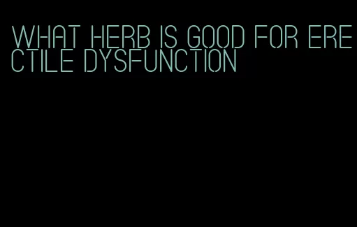 what herb is good for erectile dysfunction