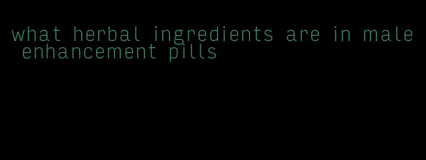 what herbal ingredients are in male enhancement pills