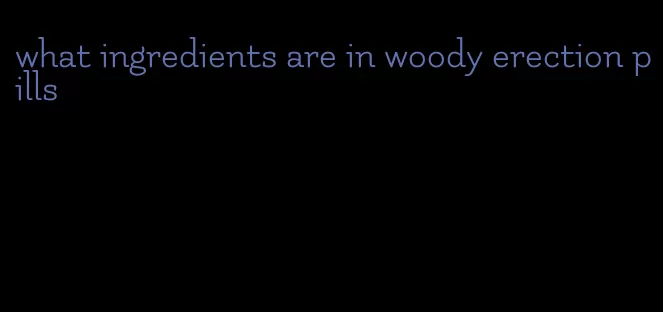 what ingredients are in woody erection pills