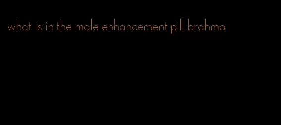 what is in the male enhancement pill brahma