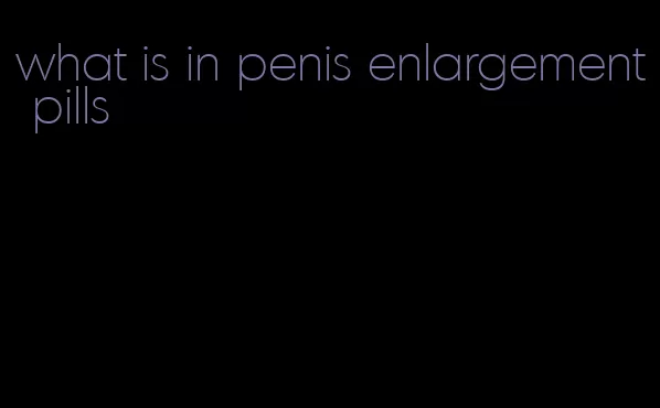 what is in penis enlargement pills