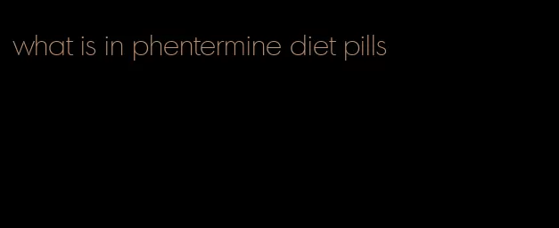 what is in phentermine diet pills