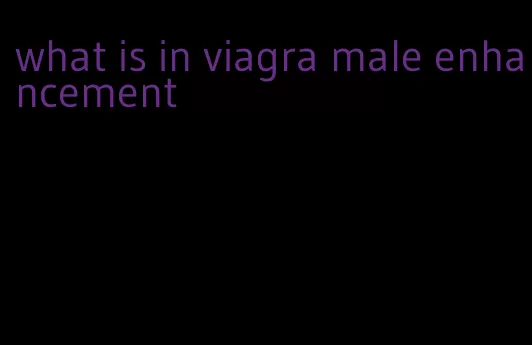 what is in viagra male enhancement