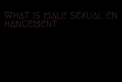 what is male sexual enhancement