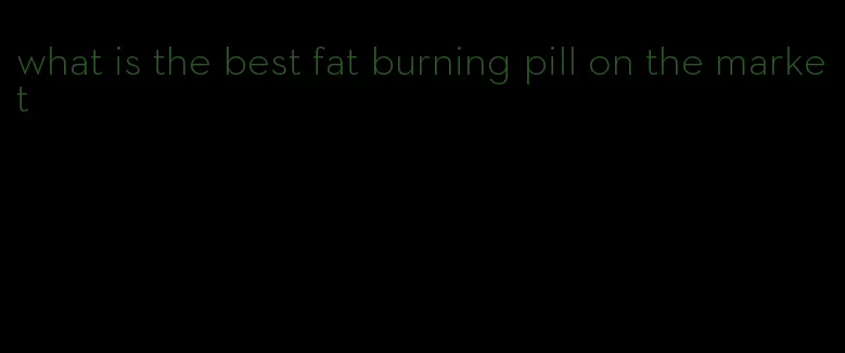 what is the best fat burning pill on the market