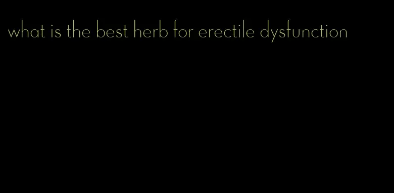 what is the best herb for erectile dysfunction