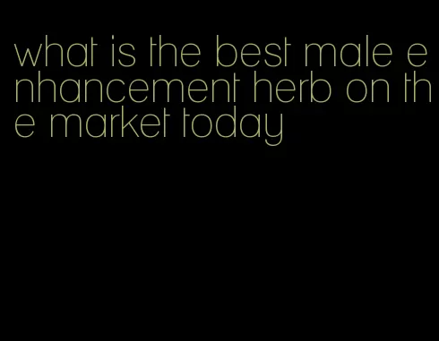 what is the best male enhancement herb on the market today