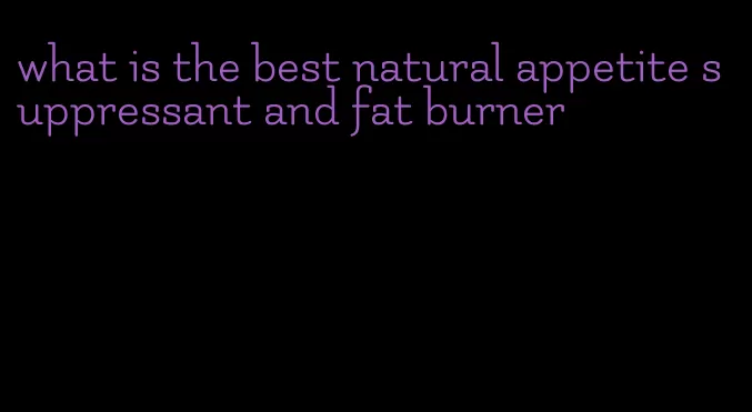 what is the best natural appetite suppressant and fat burner