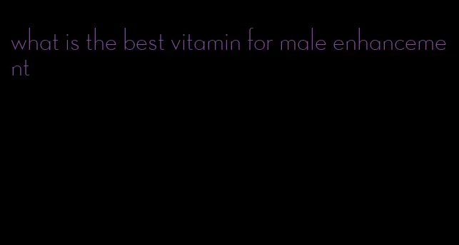 what is the best vitamin for male enhancement