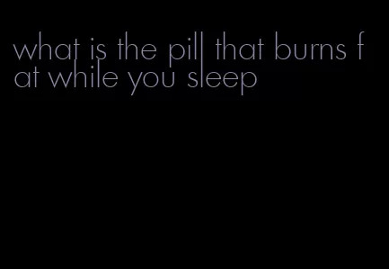 what is the pill that burns fat while you sleep