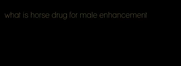 what is horse drug for male enhancement