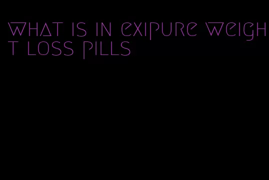 what is in exipure weight loss pills