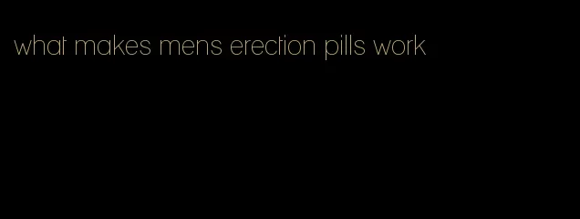 what makes mens erection pills work