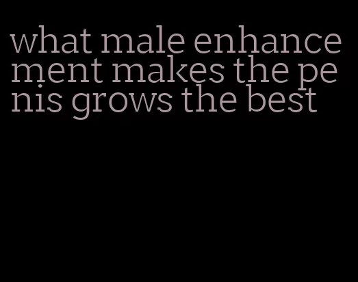 what male enhancement makes the penis grows the best