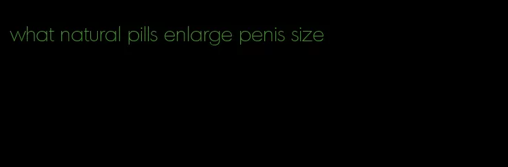 what natural pills enlarge penis size