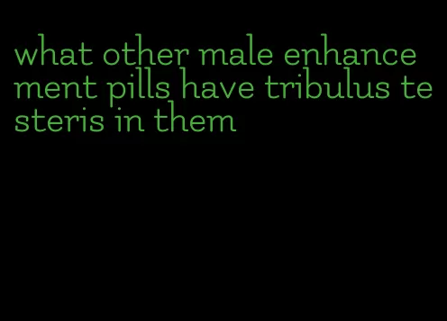 what other male enhancement pills have tribulus testeris in them