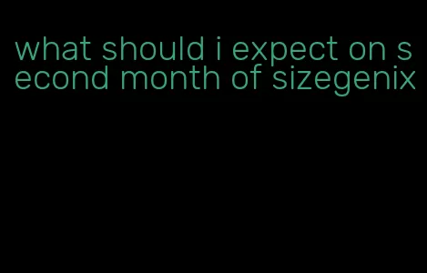 what should i expect on second month of sizegenix