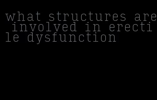 what structures are involved in erectile dysfunction