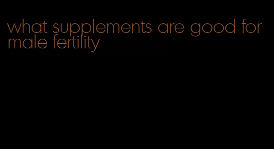 what supplements are good for male fertility