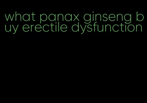 what panax ginseng buy erectile dysfunction