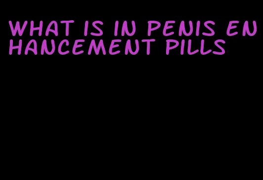 what is in penis enhancement pills