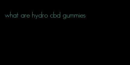 what are hydro cbd gummies