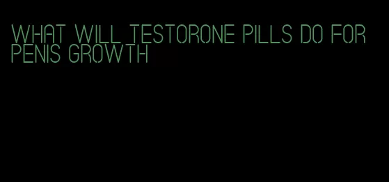 what will testorone pills do for penis growth