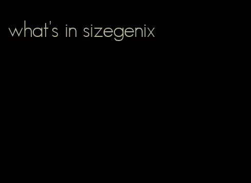 what's in sizegenix