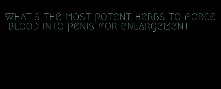 what's the most potent herbs to force blood into penis for enlargement