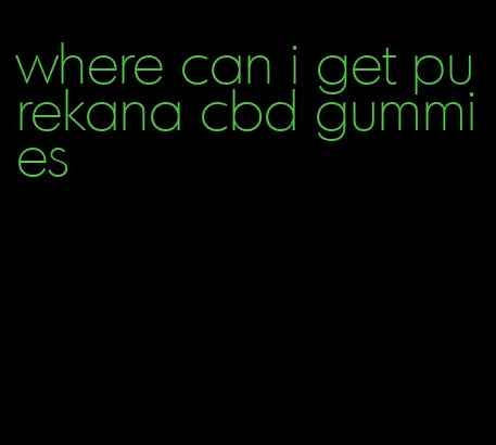 where can i get purekana cbd gummies