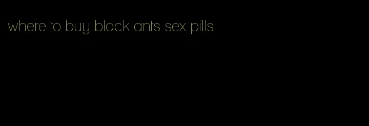 where to buy black ants sex pills