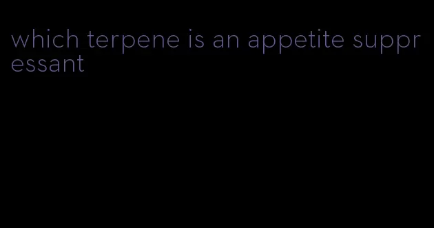 which terpene is an appetite suppressant