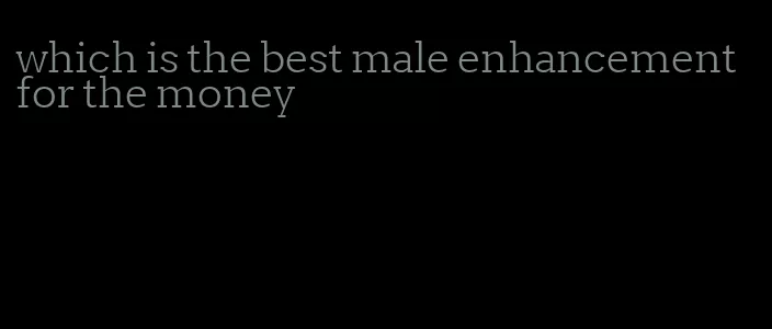 which is the best male enhancement for the money