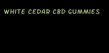 white cedar cbd gummies