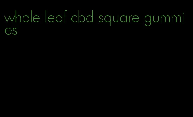 whole leaf cbd square gummies